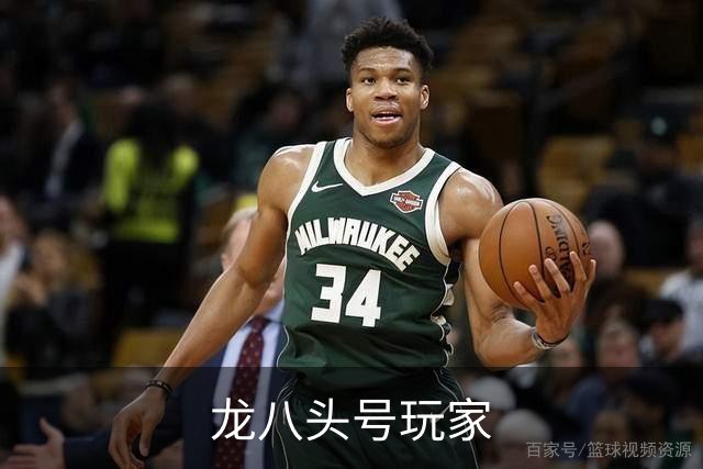 龙八头号玩家公司简介图片